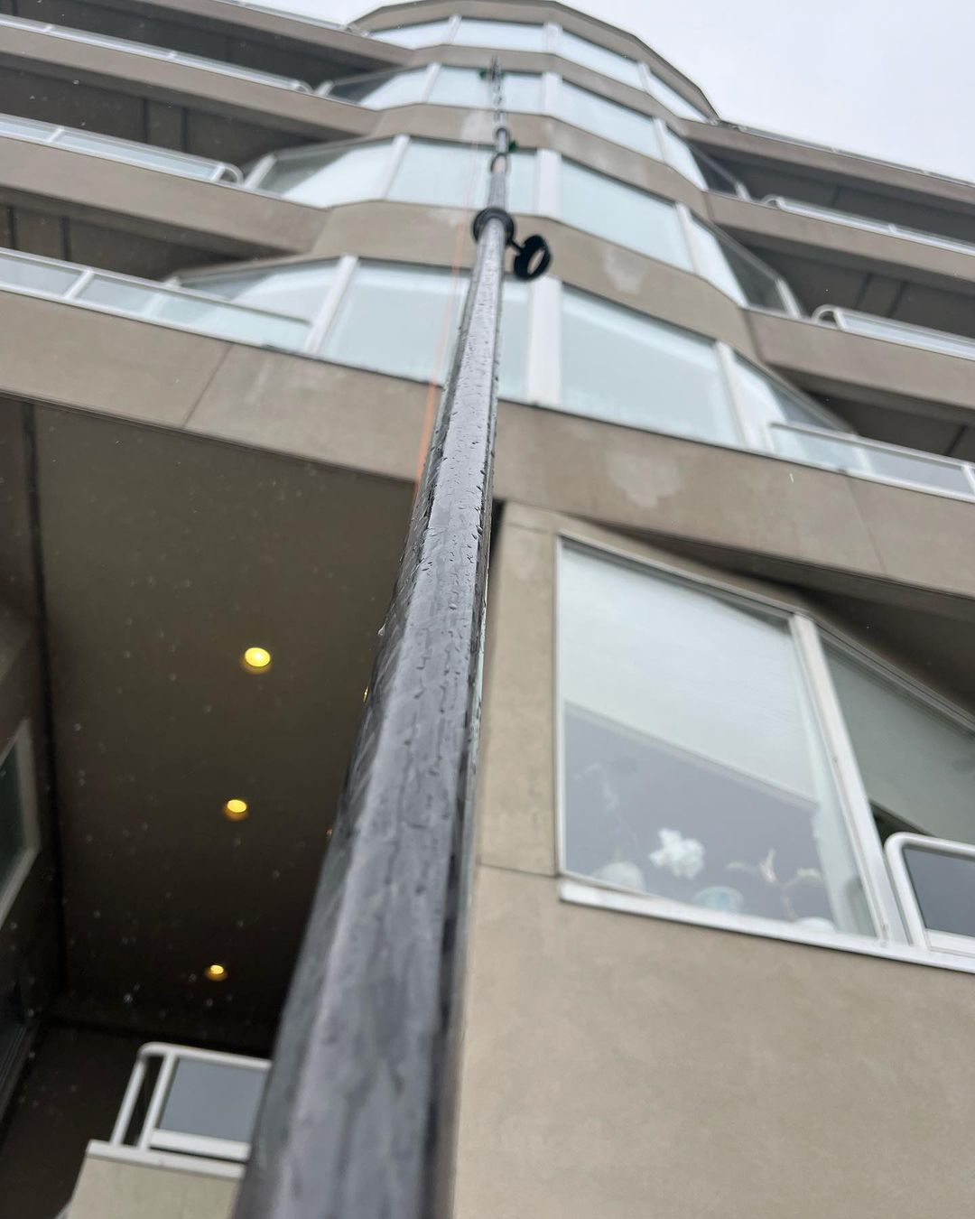 Our professional cleaning process