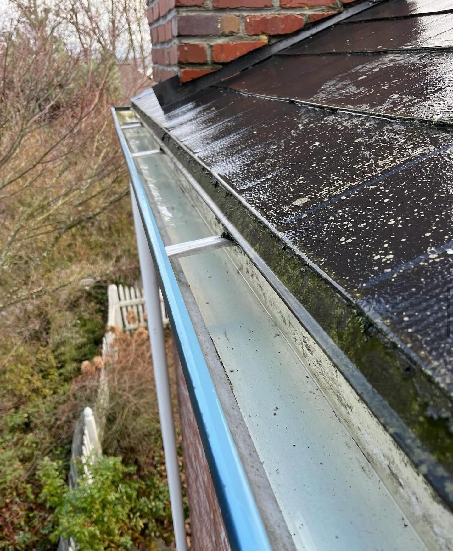 Gutter Cleaning